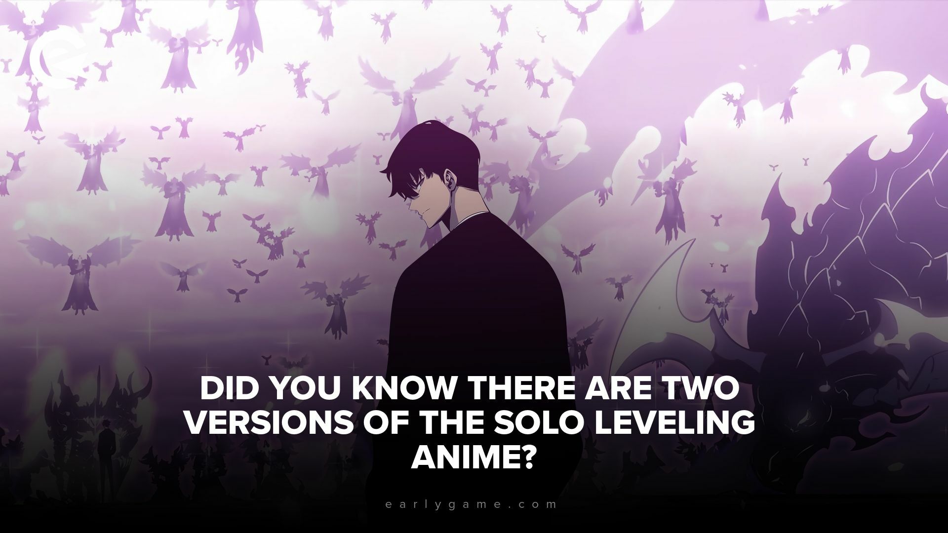 Solo leveling anime version header