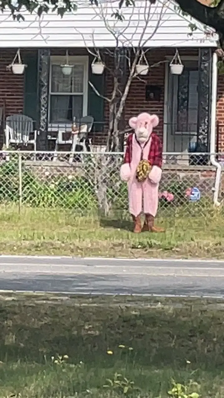 Someone dressed pink panther allegedly 128231163 jpg