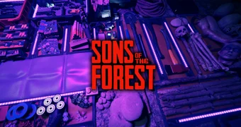 Sons of the forest save function