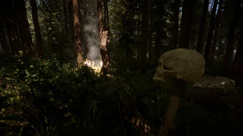 Sons of the Forest shovel location - Video Games on Sports Illustrated