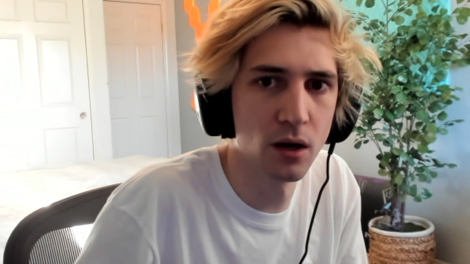 Xqc steam profile фото 15