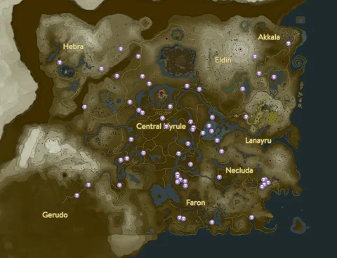 Tears of the kingdom well map