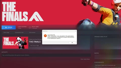 The finals error code