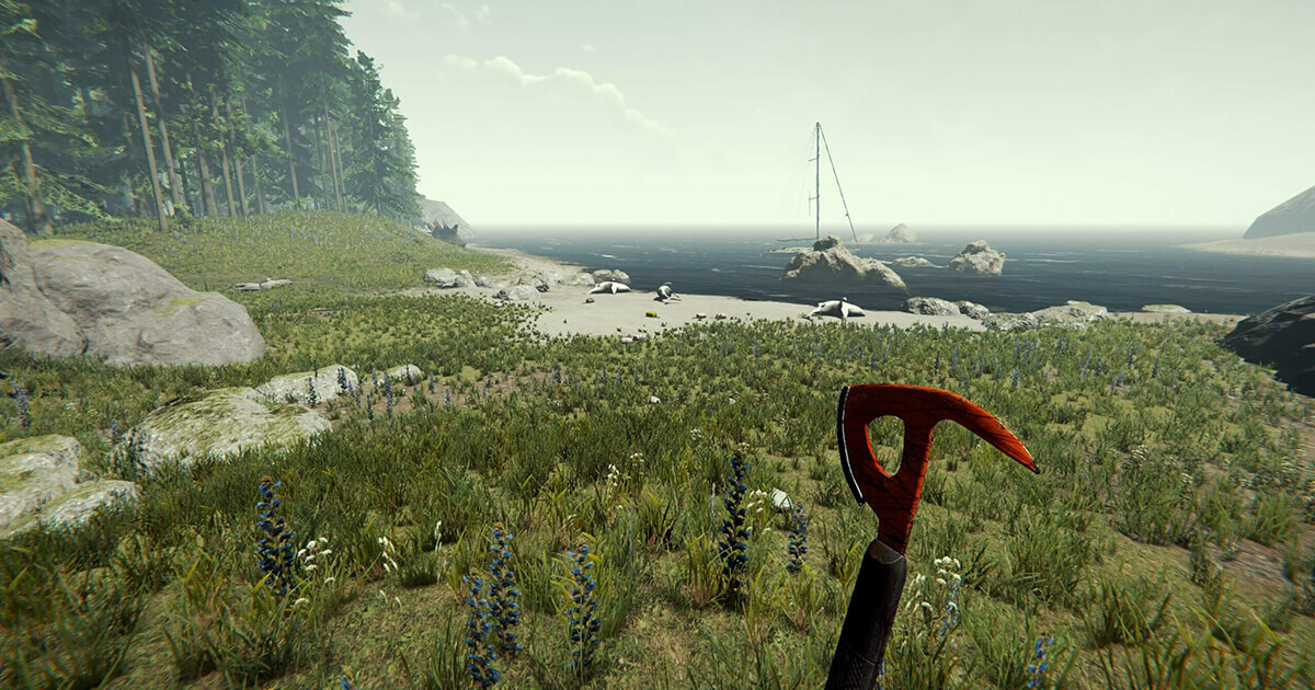 The forest