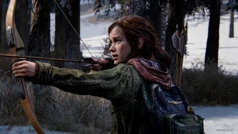 The last of us pc