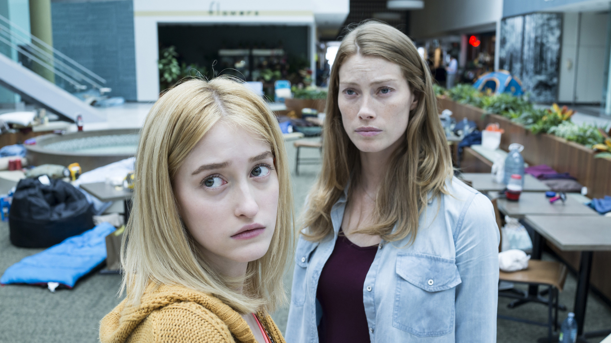 The mist tv show cropped processed by imagy