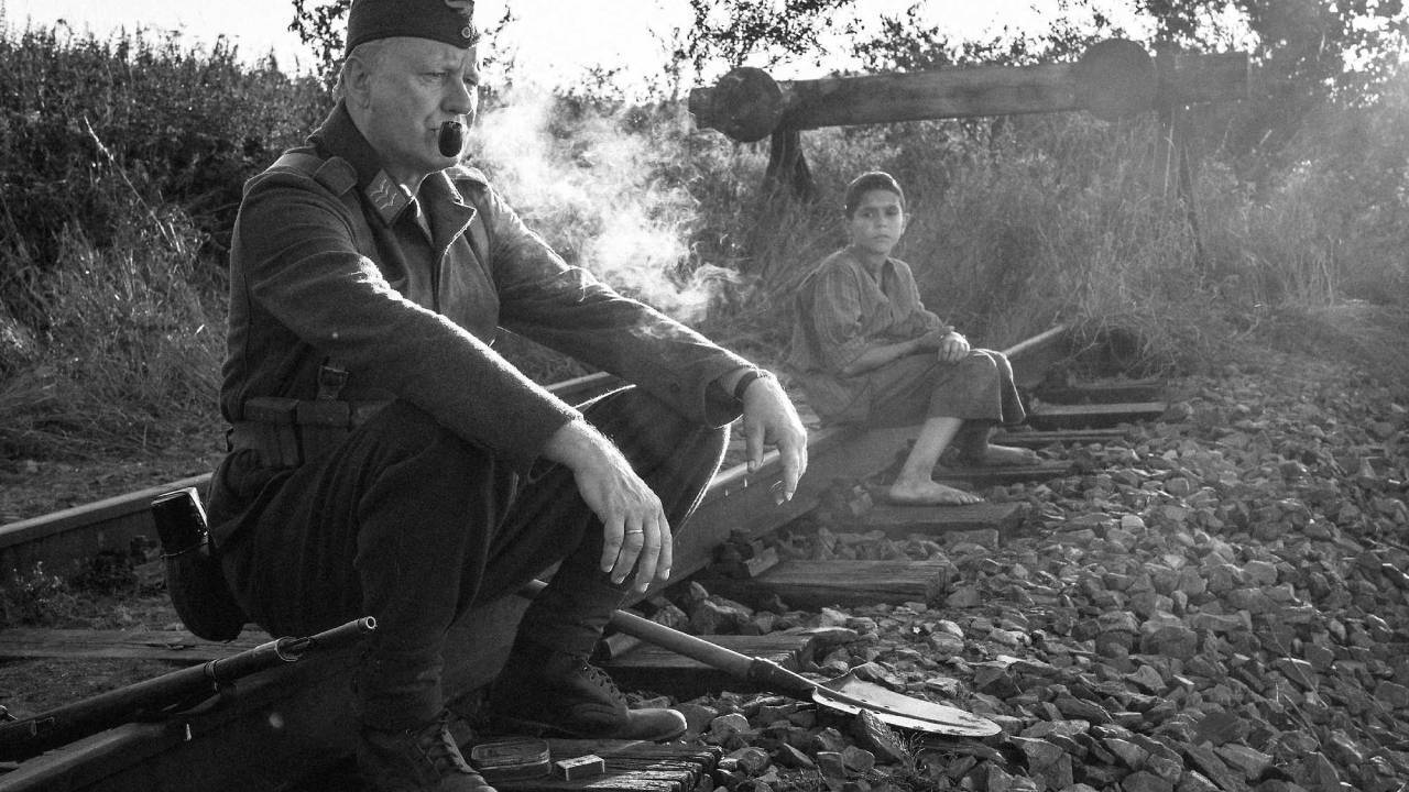 The painted bird msn