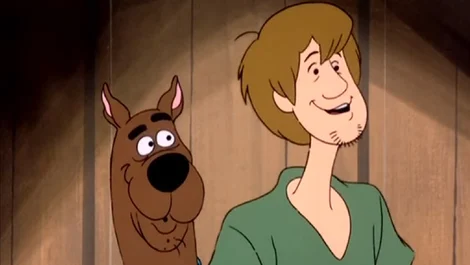 The scooby doo show