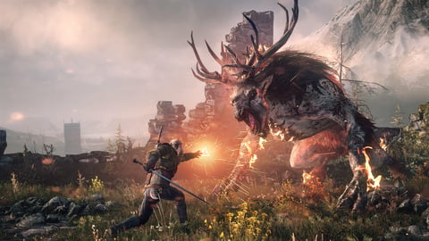 The witcher 3 column