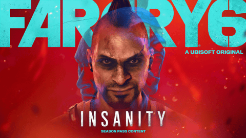Vaas insanity review