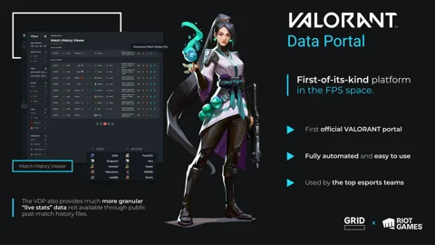 Valorant data portal