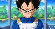 Vegeta s