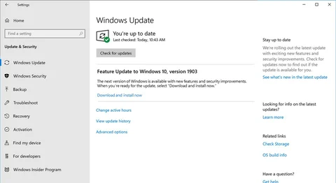 Windows 10 update