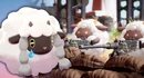 Wooloo vs pals