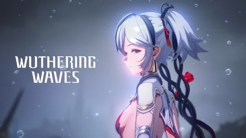 Wuthering Waves 1.4 Banner Characters Leaked:… | EarlyGame india