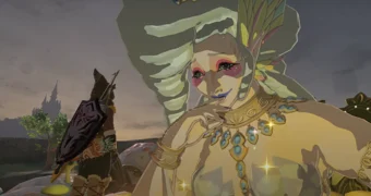 Zelda totk fairy