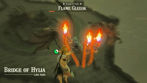 Zelda totk flame gleeok