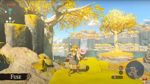 Zelda totk fuse