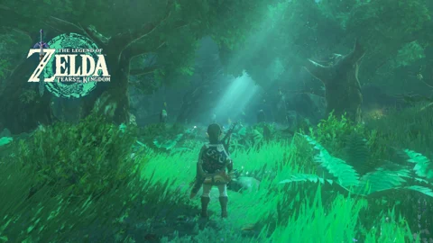 Zelda totk lost woods thumbnail