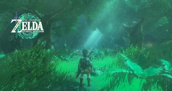 Zelda totk lost woods thumbnail