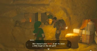 Zelda totk perda wabbin 3