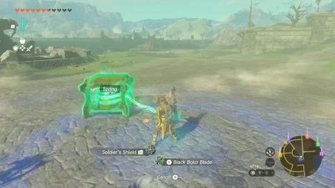 Zelda totk shield fuse