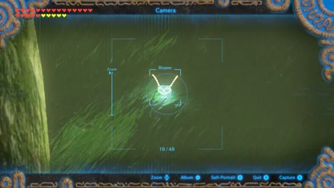 Zelda blupee